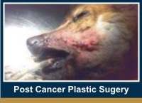 post-cancer