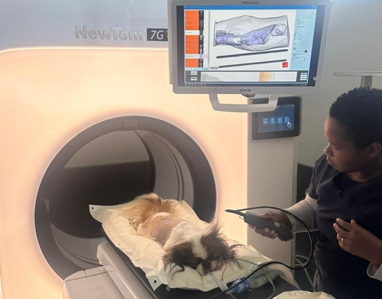 HVH Services MRI