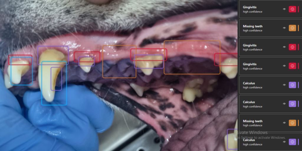  AI assisted dental imaging identifying pet dental disease.